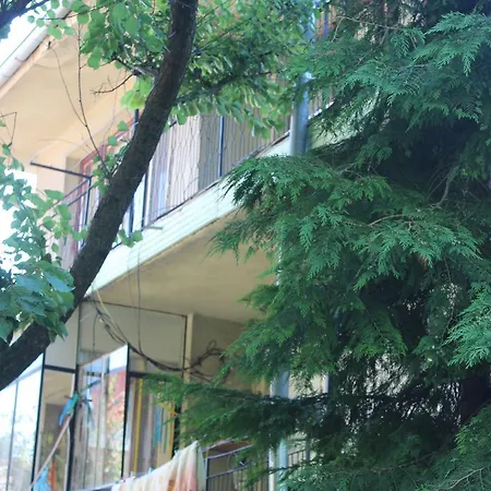 Pensionat Snezhi Baltjik